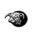 Bull Island Realty, Inc