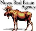 Noyes Real Estate Agency