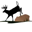 Anfinson Inc DBA Outdoors Realty