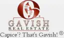 Gavish Real Estate