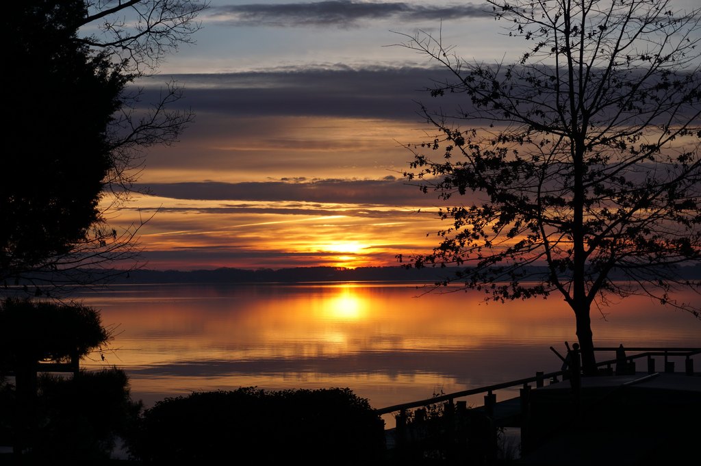 Konnie S Mac McCarthy