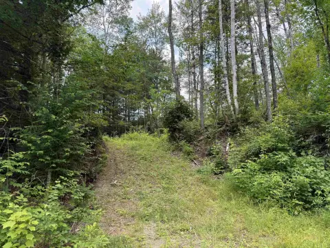 Agricultural Land with 377-Foot Frontage