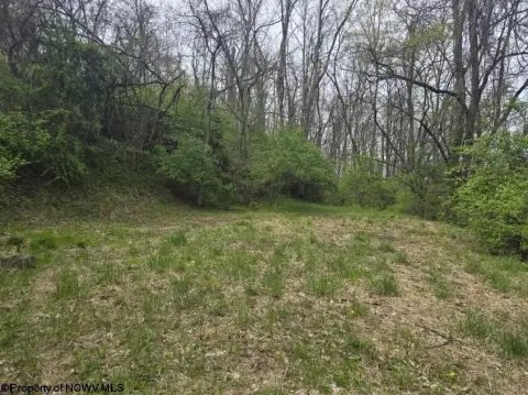 Residential Land in Morgantown, WV