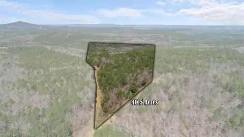Recreational Hunting Land