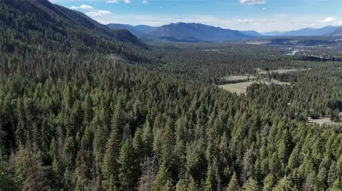 Thompson Falls Land Near Forest