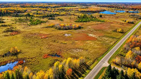 Hunting Land with Timber and Wetlands