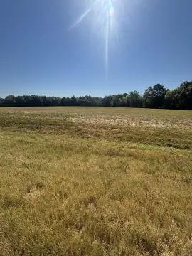 Cleared and Timbered Land