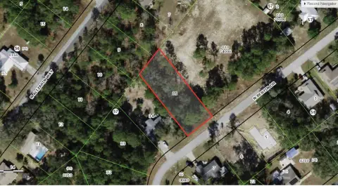 Oversized Homesite in Citrus Springs