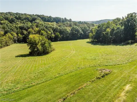 Open and Wooded Farmland