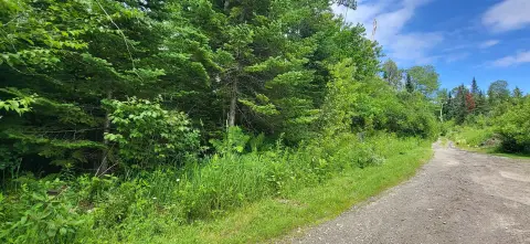 Recreation and Timberland Lot