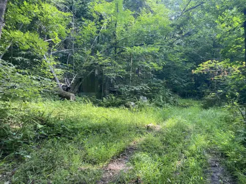 Wooded Recreational Land Parcel
