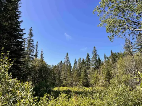Recreation Land with Trail Access