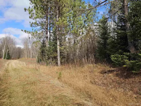 Iron River Vacant Land