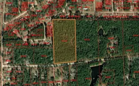 Unrestricted Wooded Acreage Near Corrigan