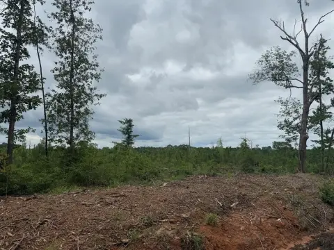 Acreage with Pine Plantation and Creeks