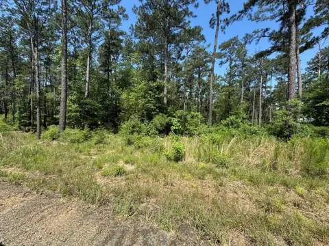 Waterfront Lot on Lake Sam