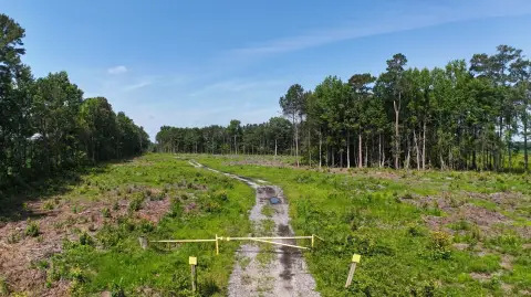 Colerain, NC Vacant Land
