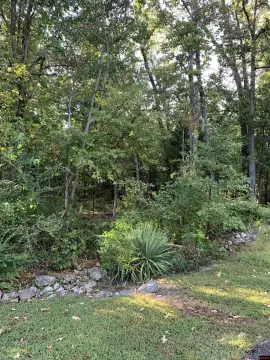 Buildable Lot Near Bull Shoals