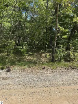 Lake Ogemaw Wooded Vacant Lot