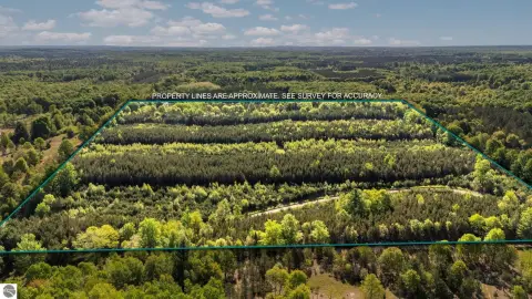 Splittable Hunting Land with Woods