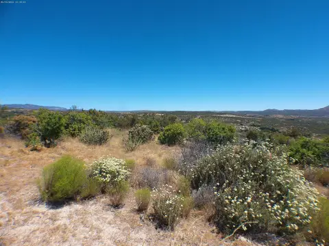 Agricultural Land with Dirt Access