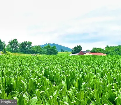 Perc-Approved Country Home Lot