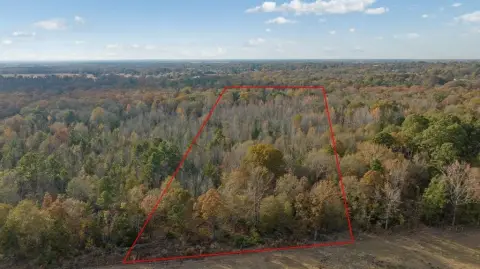 13 Acres of Wooded Land