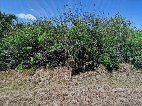 Residential Lot in Port Charlotte