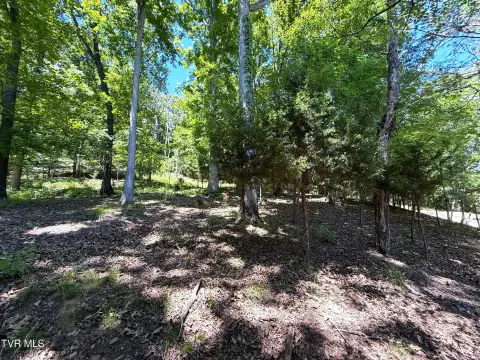 Wooded Lake-View Lots in Gated Community