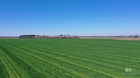 Unzoned Land: Development Flexibility