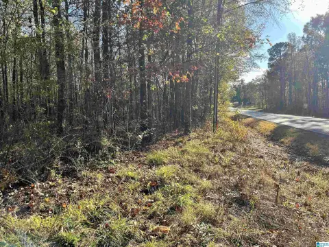 Pell City Acreage Opportunity