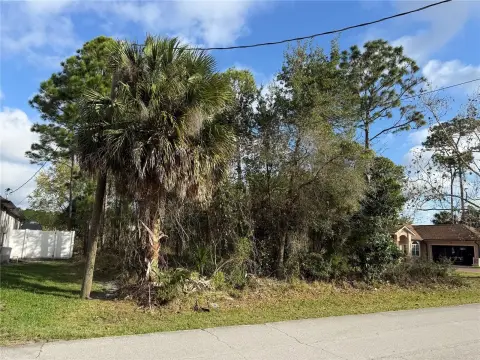 Palm Coast Homesite Opportunity
