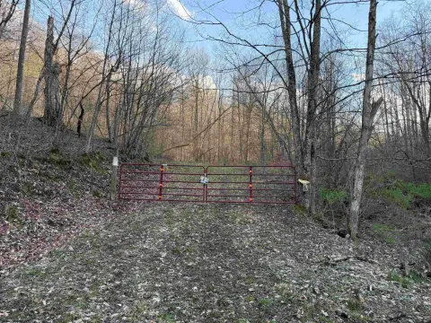 Volga, WV Wooded Acreage