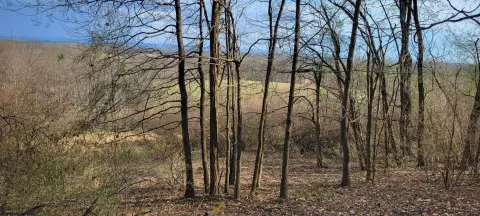 Residential Land Near Morgantown