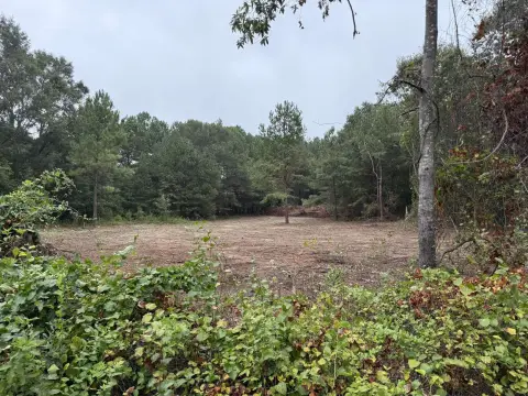 Residential Land in Chesnee, SC