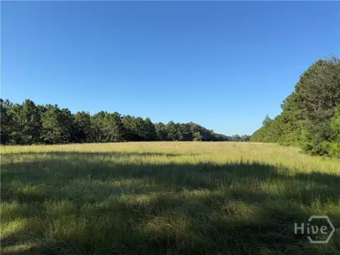 Claxton Homesite with Wooded Buffer