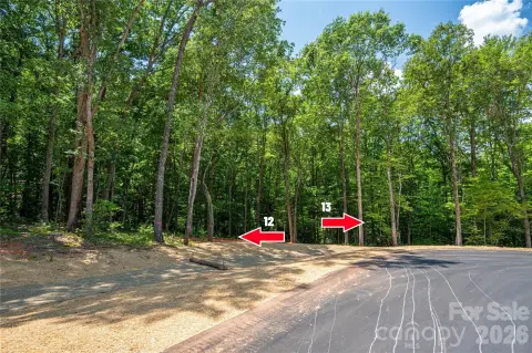 Wooded Cul-de-Sac Home Lot