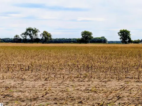 35-Acre Agricultural Land