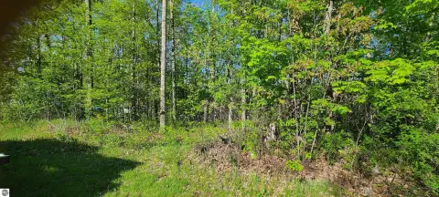 Vacant Lot in Barton City