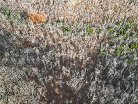 Waverly, TN Vacant Land