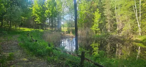 Wooded Recreation Land with Pond