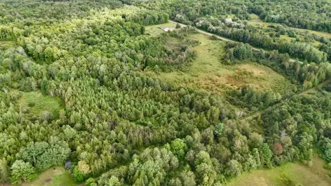 Hunting Land With Gravel Driveway
