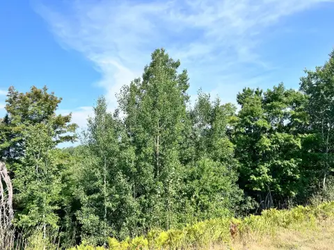 All-Purpose Zoning Land