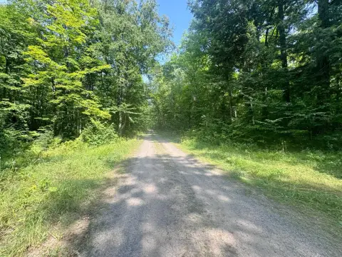 Wooded Hunting Land