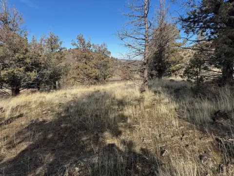 Land with Lake and Mountain Views