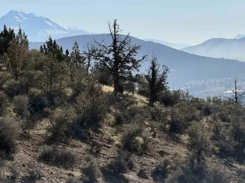 Yreka Land with Mountain Views