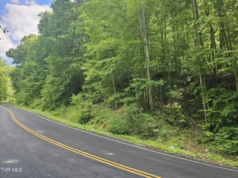 Wooded Mountain Land with Road Frontage