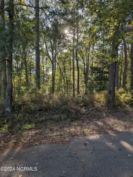 Undeveloped Land in Robersonville, NC