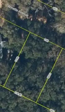 Residential Land in Interlachen, Florida