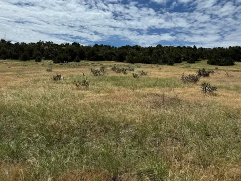 Navajo Ranch Estates Land